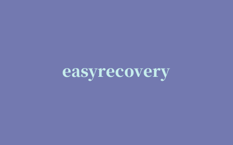 easyrecovery pro2017(硬盘数据恢复)