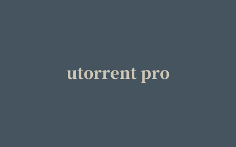 utorrent pro汉化版app