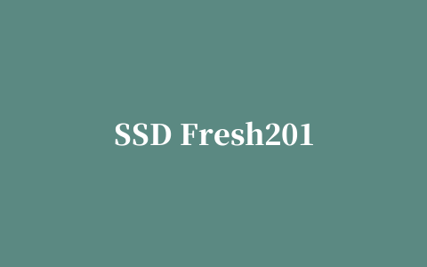 SSD Fresh2019修改版(硬盘寿命优化)