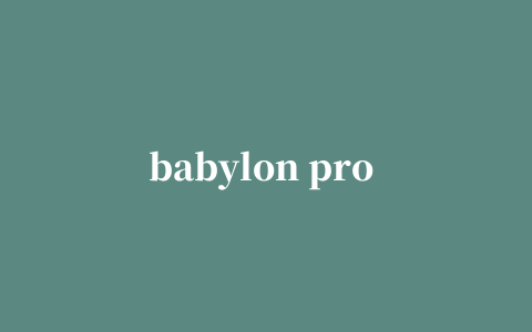 babylon pro 10中文版修改版