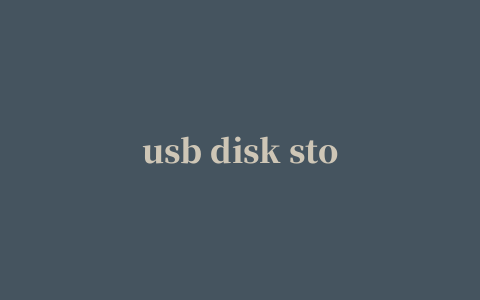 usb disk storage format tool(u盘格式化工具)