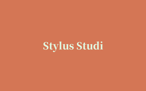 Stylus Studio 2011中文修改版