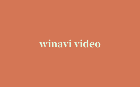 winavi video converter汉化版