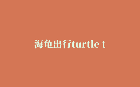 海龟出行turtle trip(海外包车)