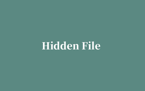 Hidden File Scanner(扫描磁盘隐藏文件)