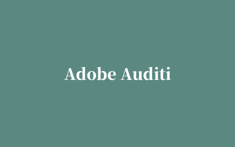 Adobe Audition汉化补丁增补版