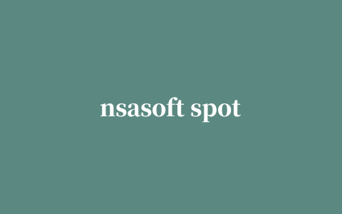 nsasoft spotauditor软件(ie缓存密码查看器)