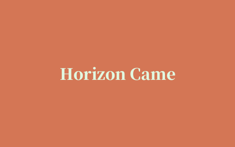 Horizon Camera(水平摄影)