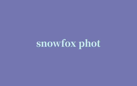 snowfox photo collage maker(照片拼图软件)