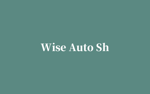 Wise Auto Shutdown(明智定时自动关机工具)