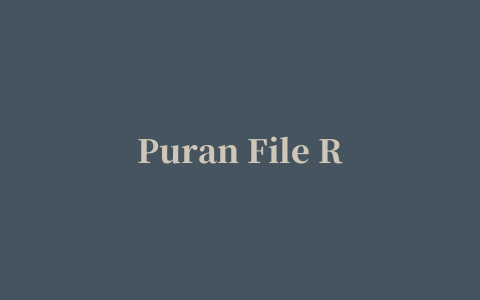 Puran File Recovery(文件恢复软件)