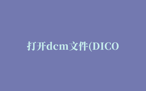 打开dcm文件(DICOM Explorer)