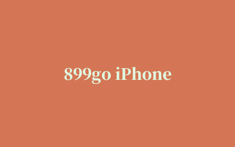 899go iPhone版