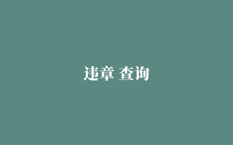 违章 查询