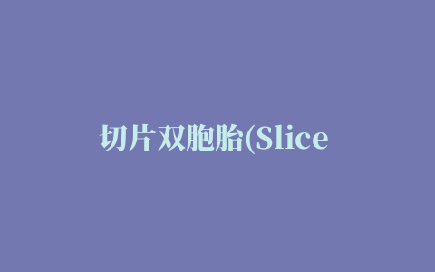 切片双胞胎(Slice Twins)