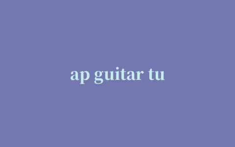 ap guitar tuner吉他调弦器