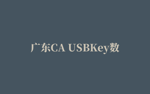 广东CA USBKey数字证书驱动程序