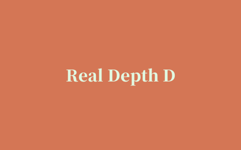 Real Depth Defragmenter磁盘碎片整理