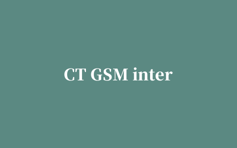 CT GSM internet(CT-GSM Internet)