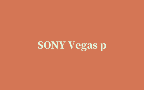 SONY Vegas pro 8.0