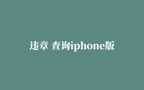 违章 查询iphone版(搜狐官方)