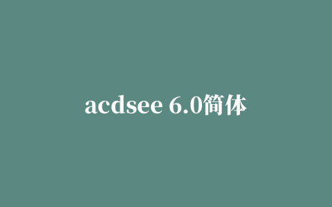 acdsee 6.0简体中文版