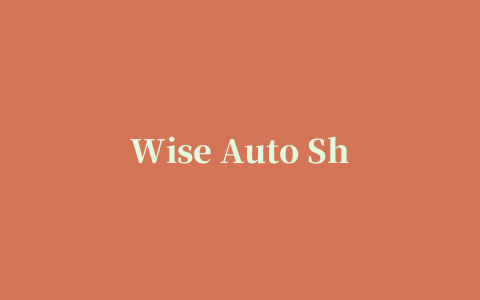 Wise Auto Shutdown智能自动关机