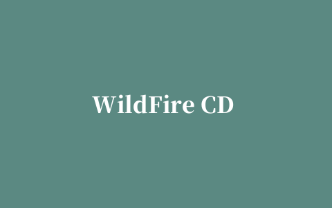 WildFire CD Ripper(CD转轨工具)