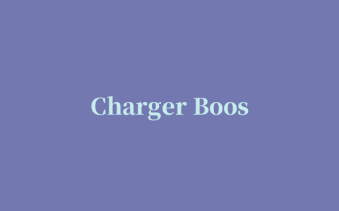 Charger Booster(快速充电)