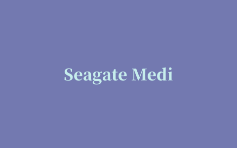 Seagate Media iPhone版