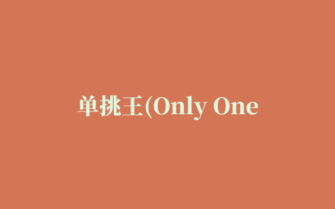 单挑王(Only One)